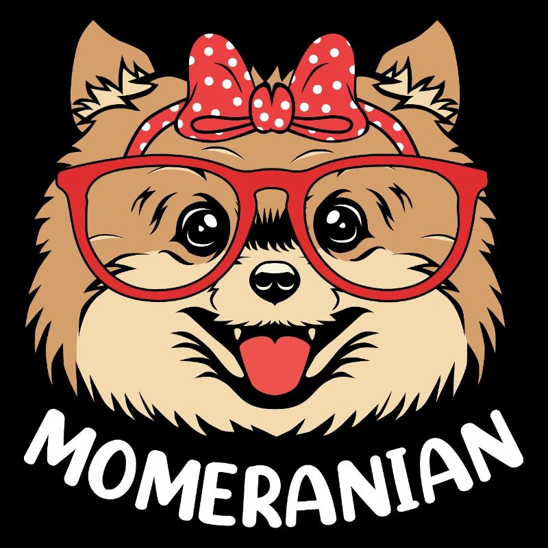 Pomeranian Zwergspitz Hund