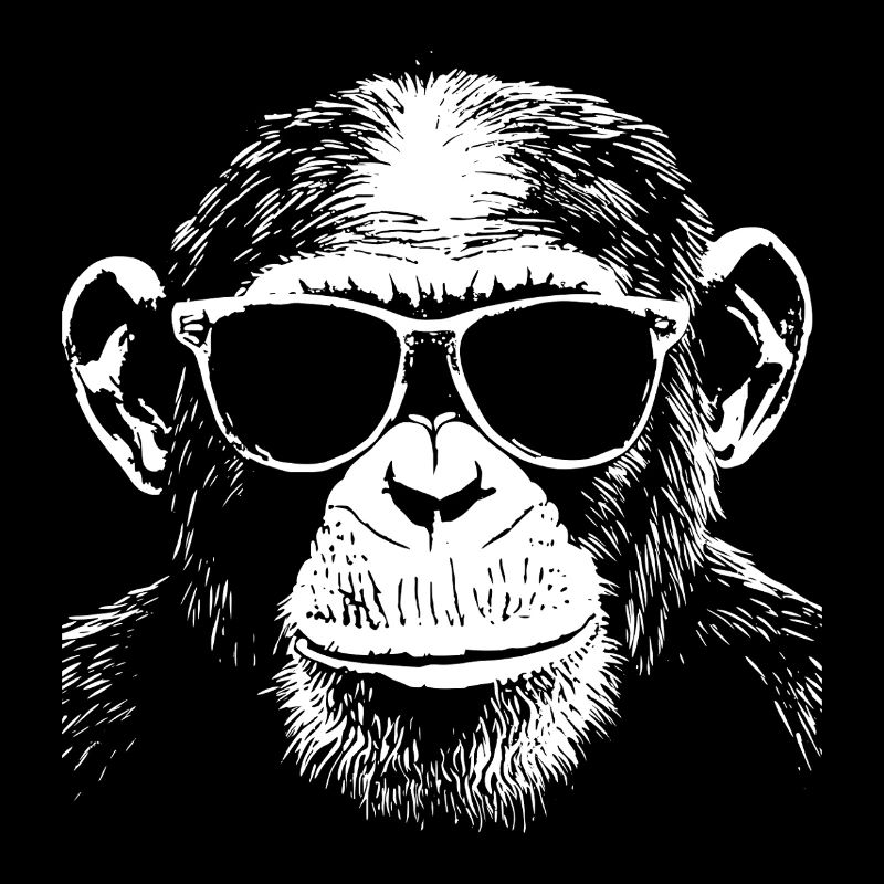 Lunettes de soleil chimpanzé cool été