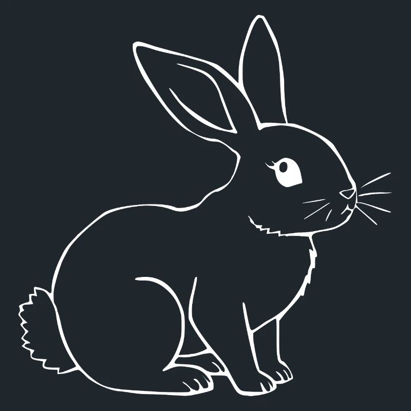Rabbit Bunny Bunny Dwarf Rabbit Gift