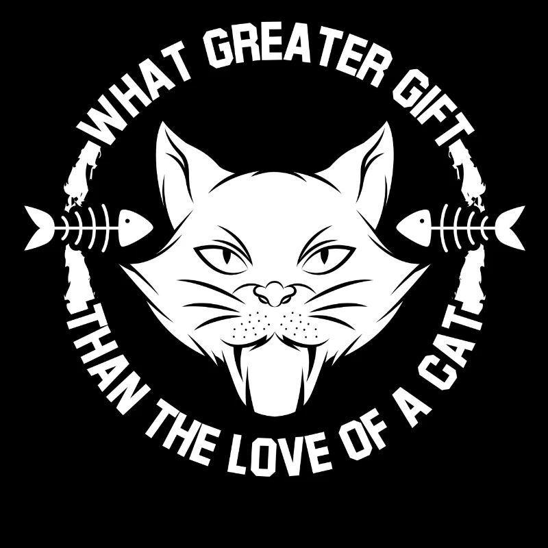 Chat chaton miaou chat domestique oeil de chat