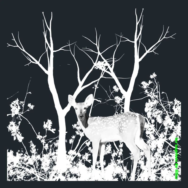 deer