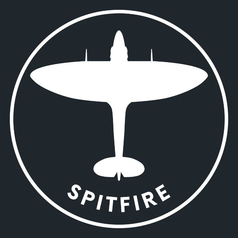 Avion de chasse de Spitfire