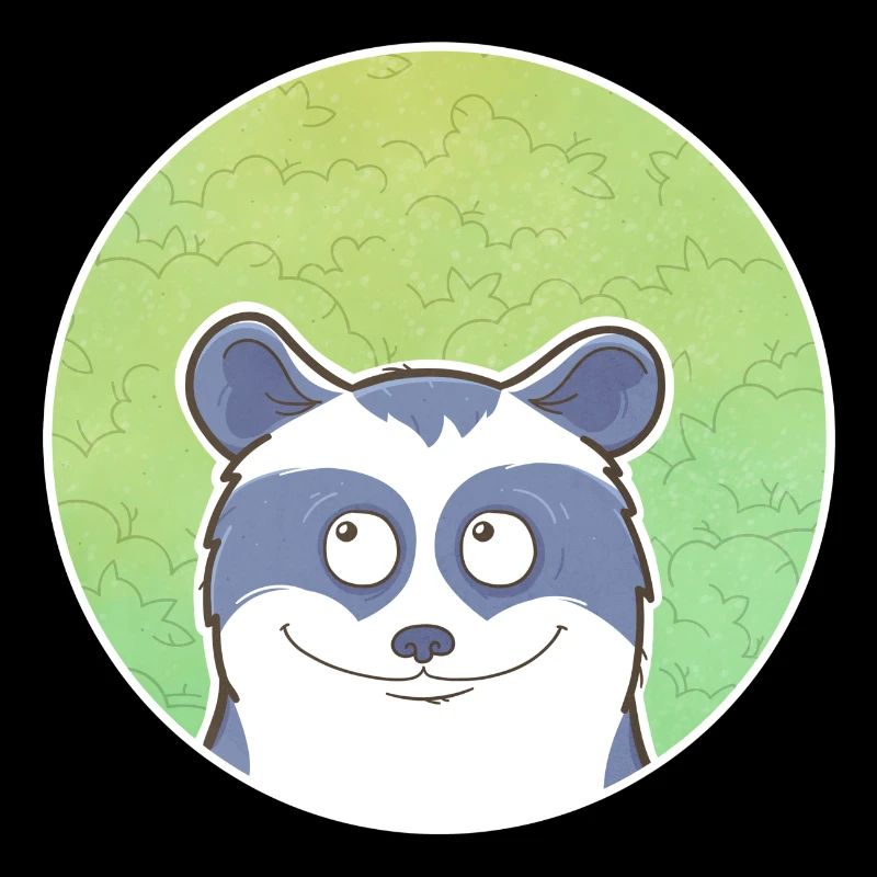 Raccoon