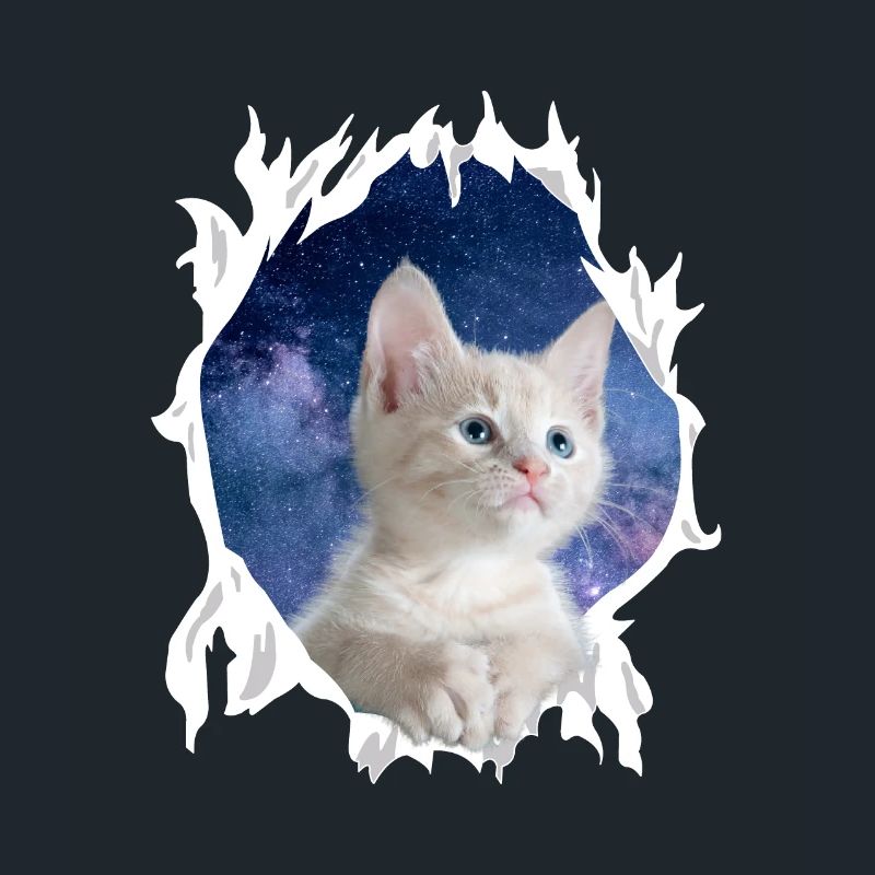 Süßes 3D Kätzchen Katze - Geschenk