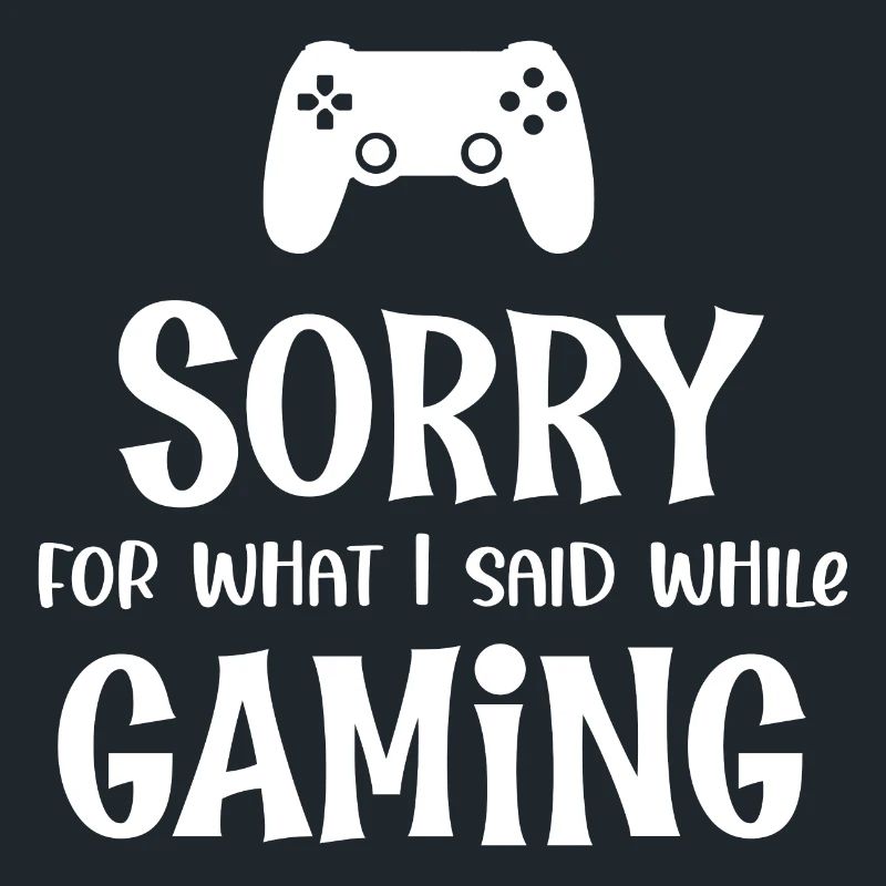 Sorry For What I Said While Gaming