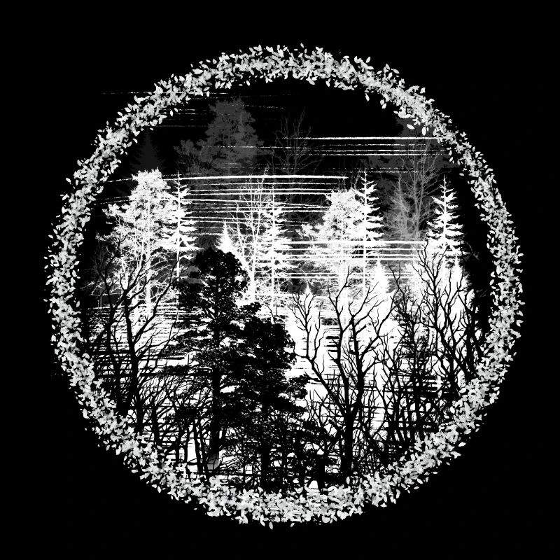 Forest Circle Silhouette Forest Landscape