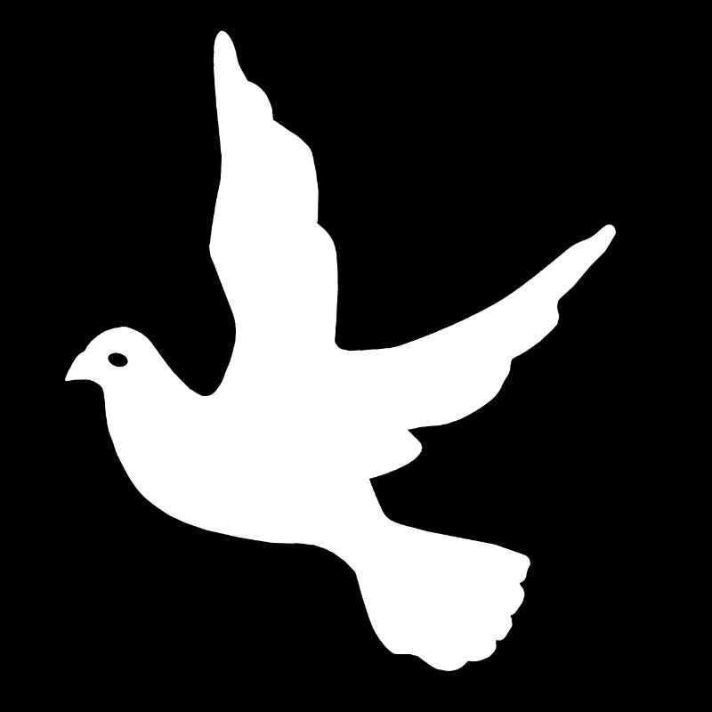 Haustaube, Vogelsilhouette