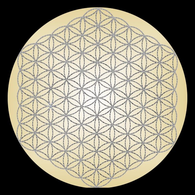 Blume des Lebens Silber - 5. Dimension - Mandala