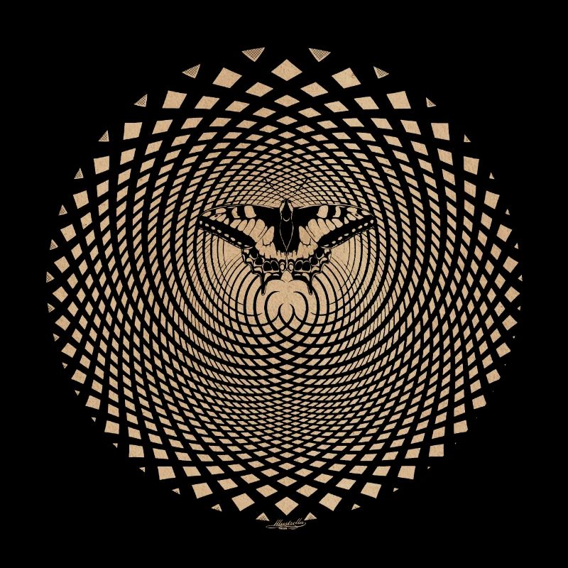 Illusion d’optique Papillon Effet Papillon