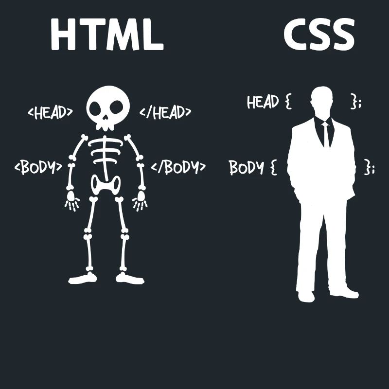 Code Css C++ Php Java Developer Code Skripting