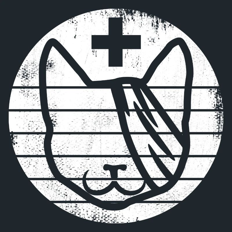 Premiers secours pour chats