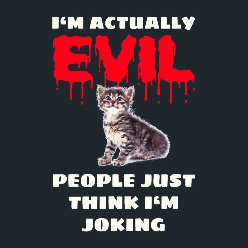 Mauvais chaton