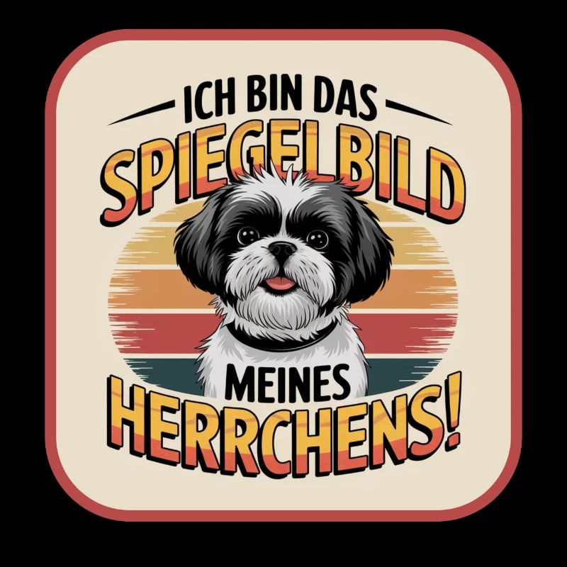 Shih Tzu : le reflet de mon maître chien