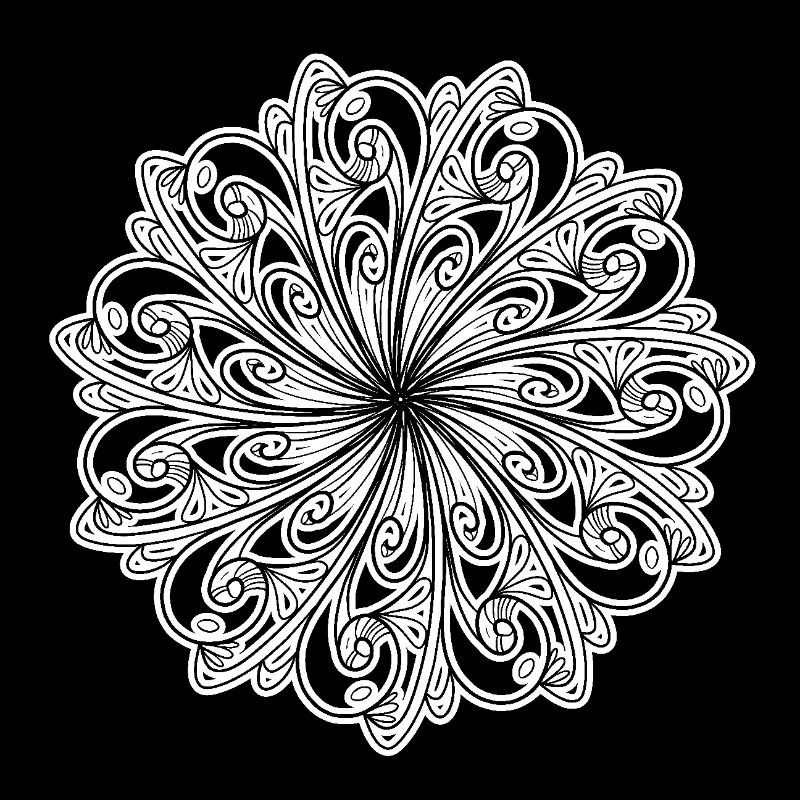 design floral noir et blanc