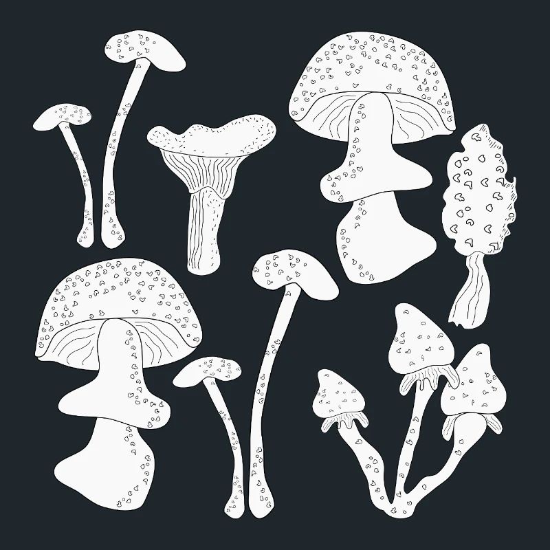 Cueillette de champignons en automne