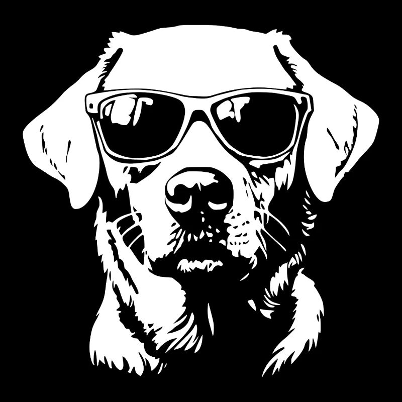 Lustig Labrador Hund Sonnenbrille