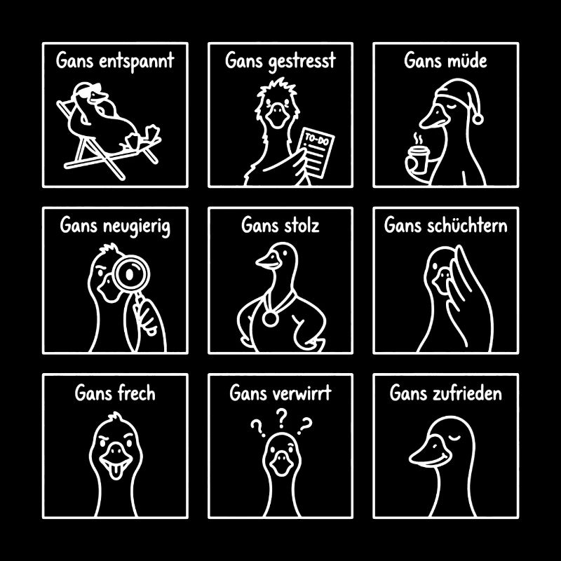 Goose Many Feelings – Jeu de mots amusant avec les oies