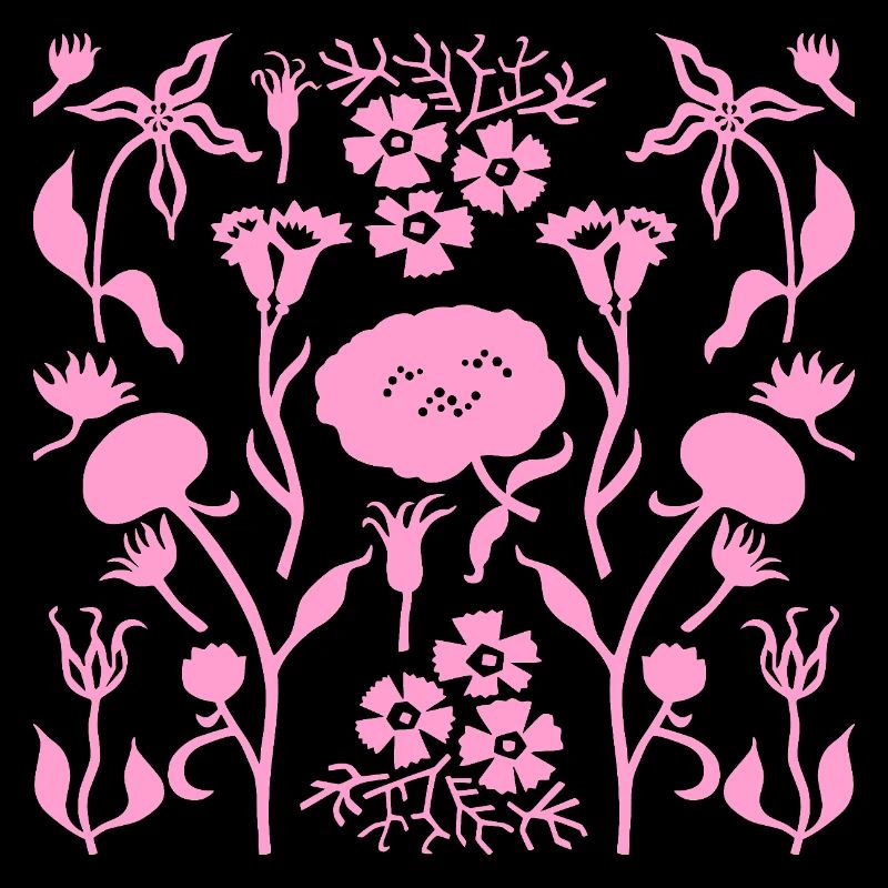 Fleurs botaniques flore symétrique l rose