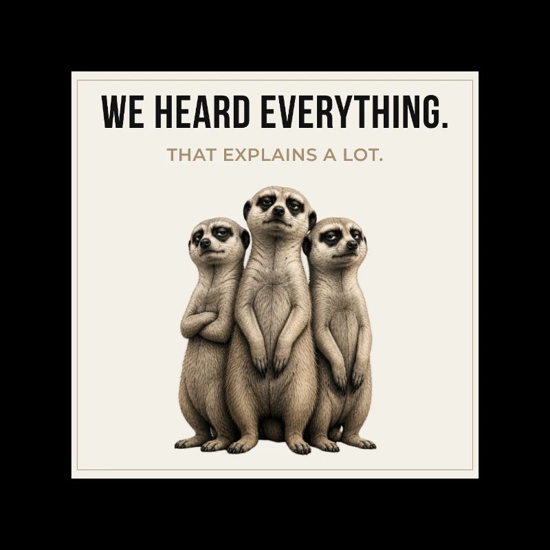 We Heard Everything Meerkat Trio