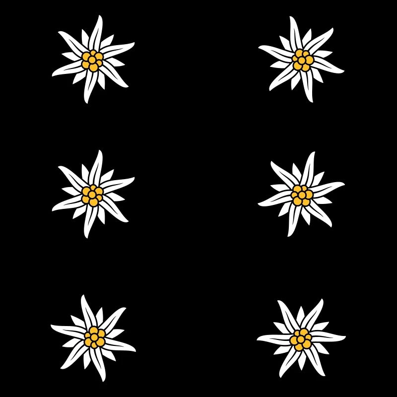 Dirndl Schuerze Edelweiss