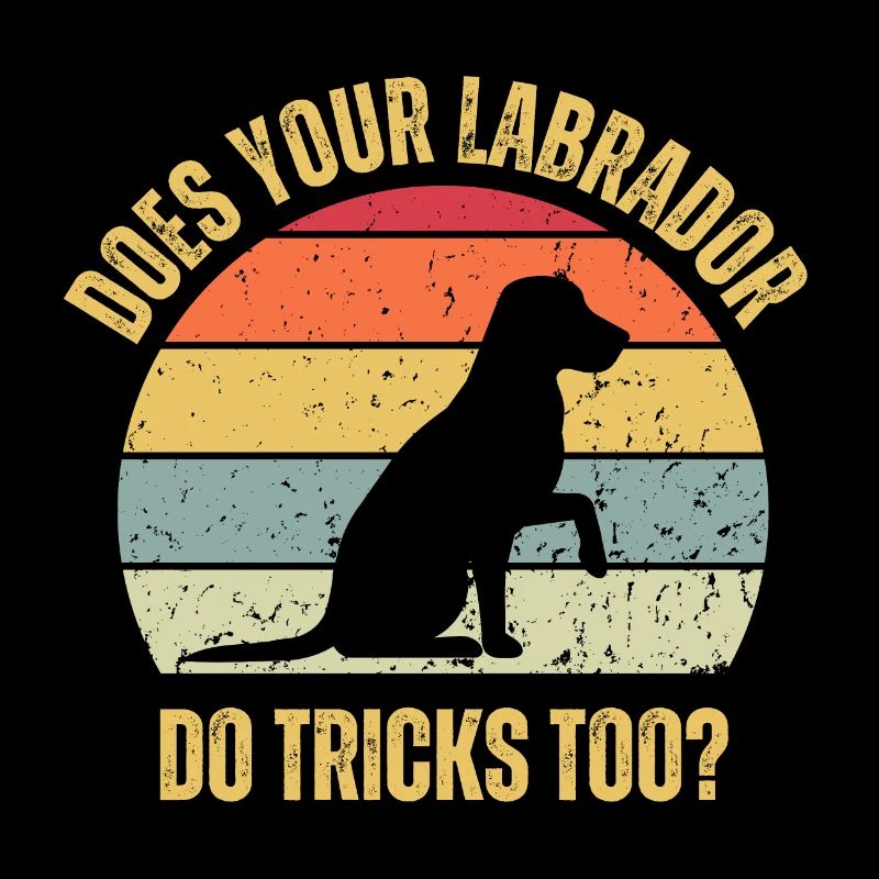 Macht Ihr Labrador auch Tricks