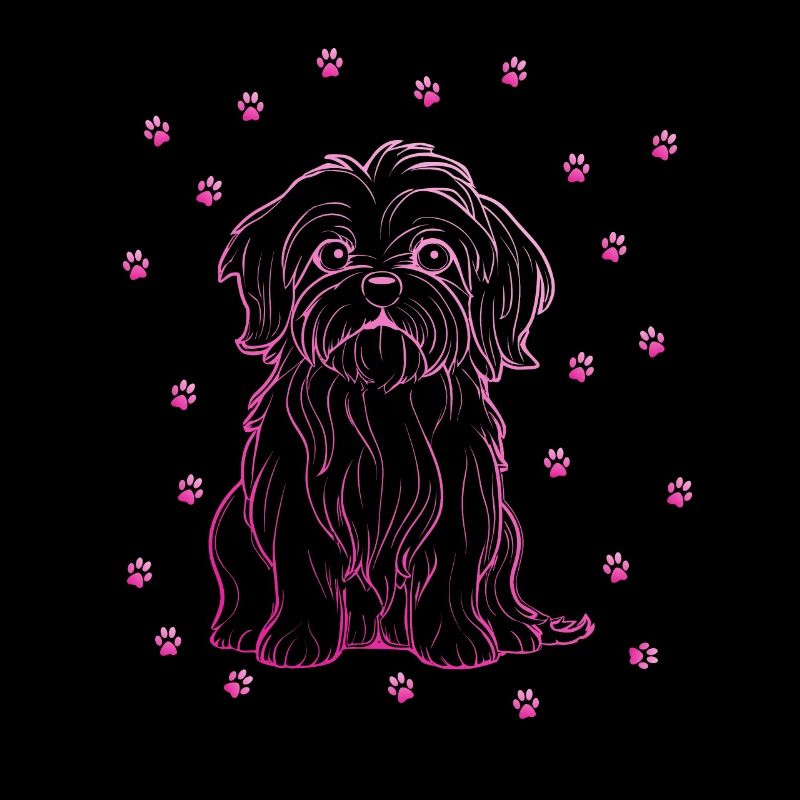 Havanese with small paws