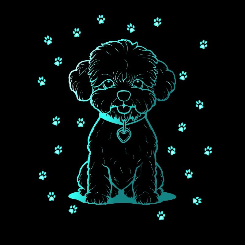 Bichon frisé avec petites pattes
