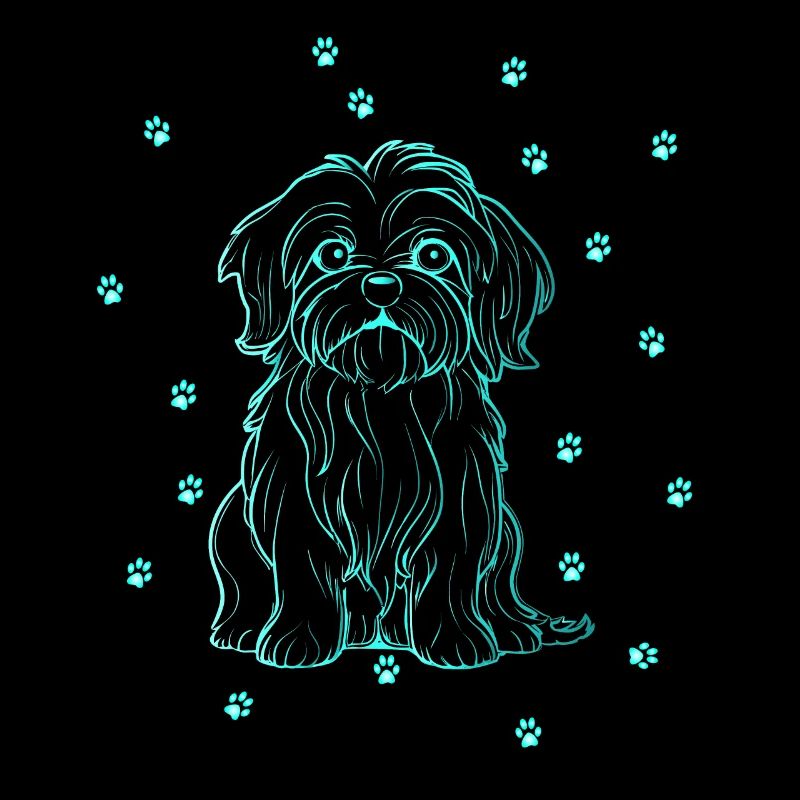 Havanese with small paws