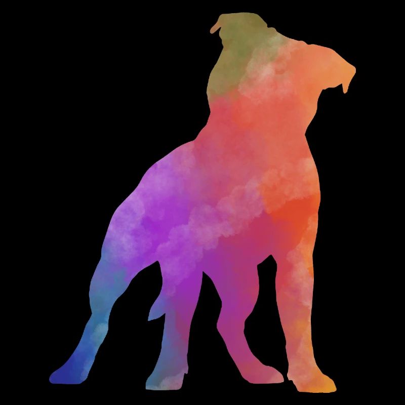 PITBULL AMSTAF coloré