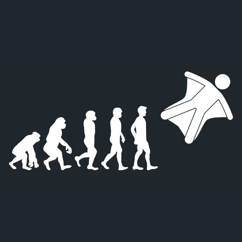 Wingsuit flying Base Jumping Skydiving Evolution