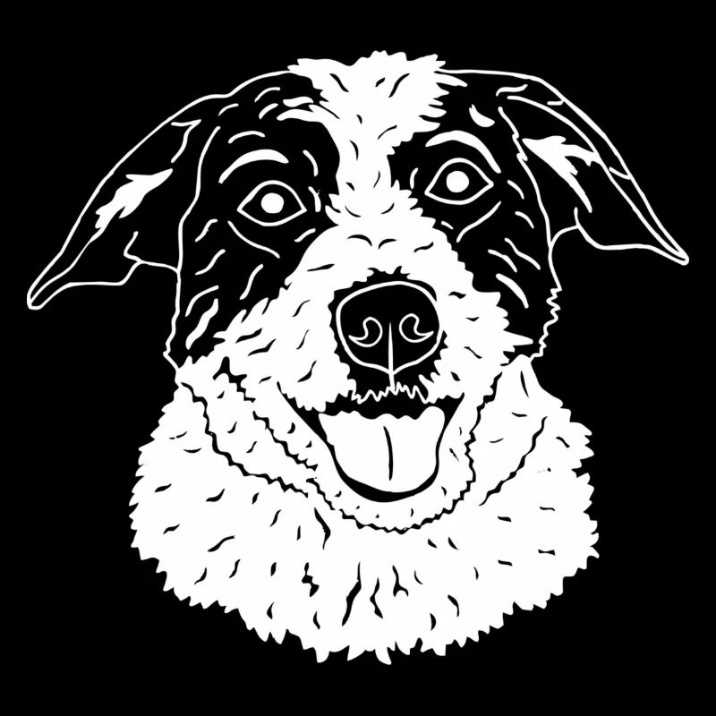 Parson Jack Russell Terrier