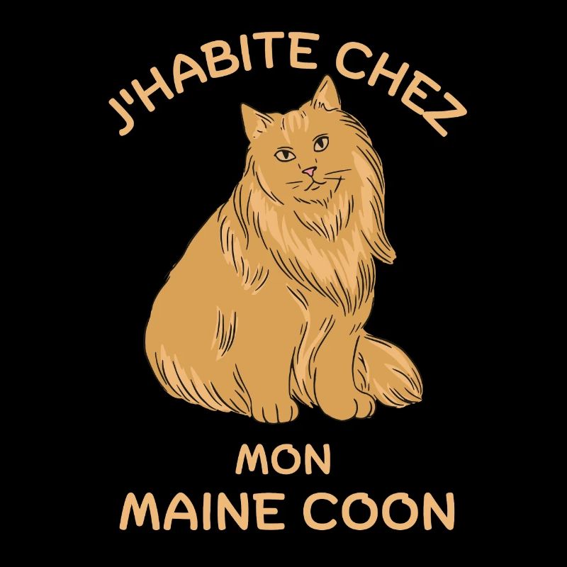 Maine coon chat mignon 2