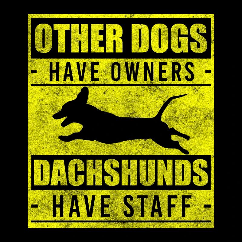 Teckel Dog Lover Chiot École de chiens
