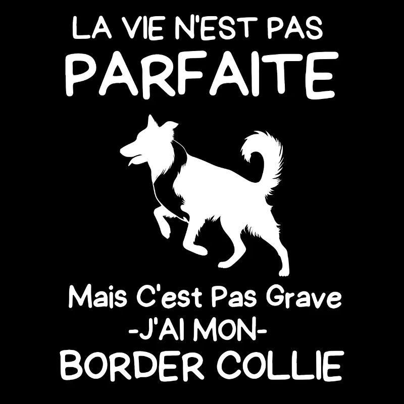 École canine border collie 1