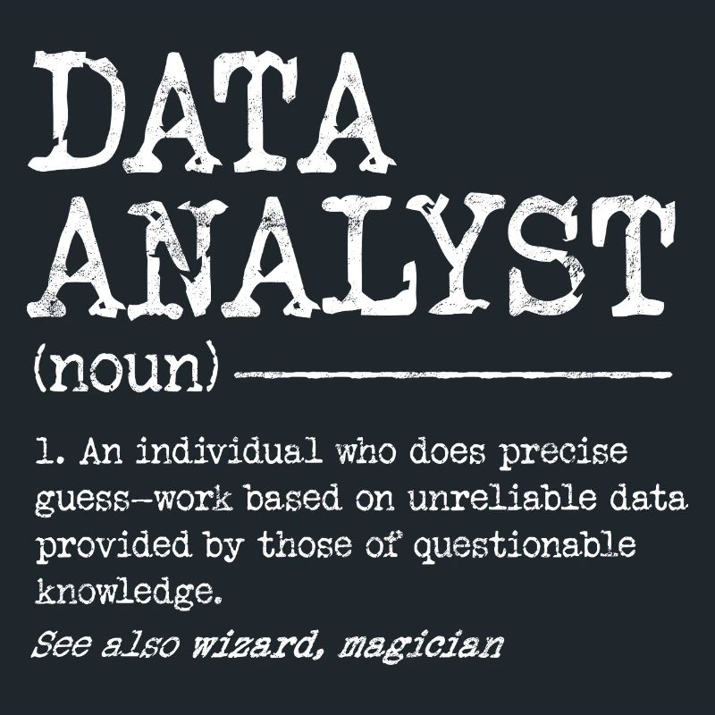 Data Analyst Meme Tee