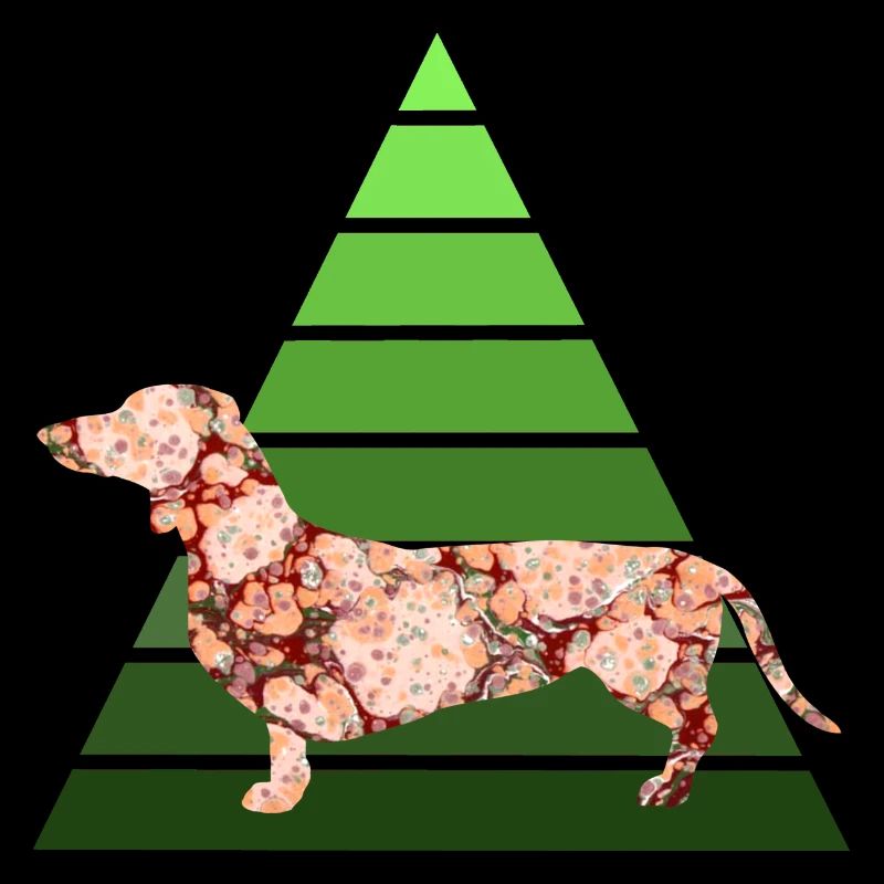 dachshund e 214