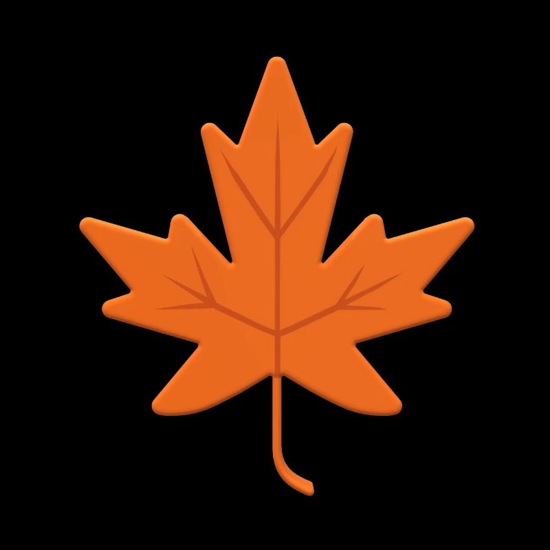 Autumn Leaf Canada Natural Tree Garden Ahronblatt