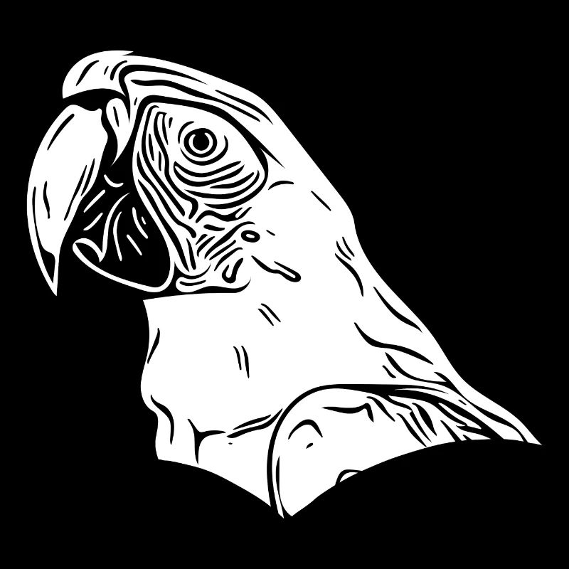 Parrot Vintage Portrait Bird Drawing