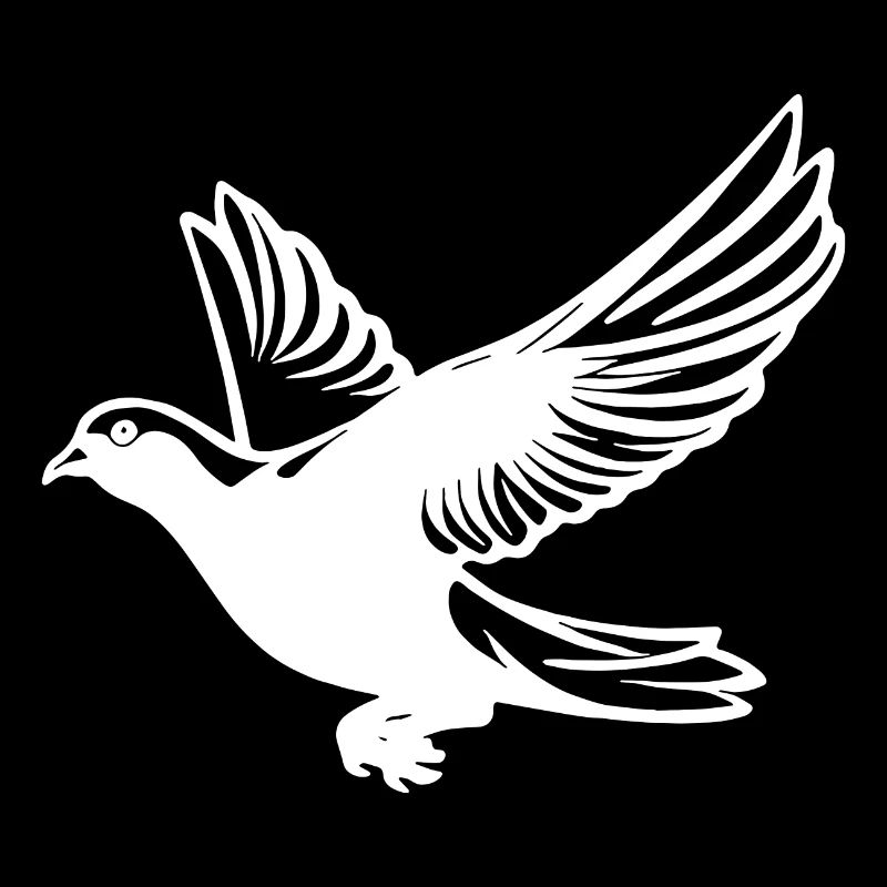 Pigeon en vol avec des ailes