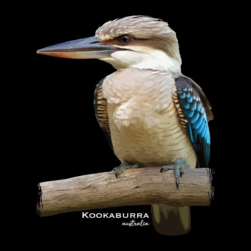 Kookaburra Bird Australia