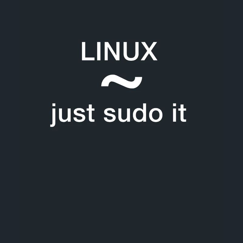linux just sudo it Admin Programmeur pc Nerd lol