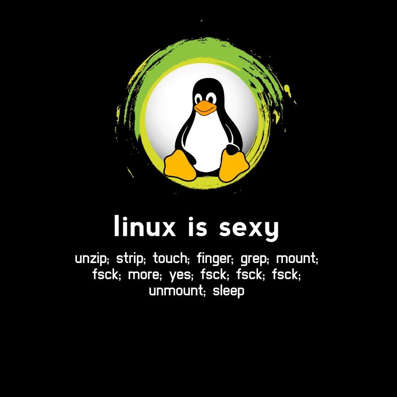 Computer System Pinguin Nerd pc inside code admin