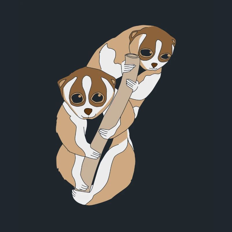 Slow Loris