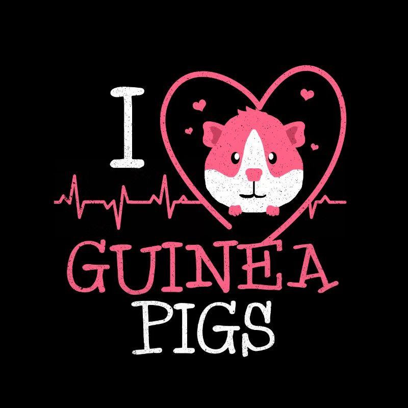 Guinea pig