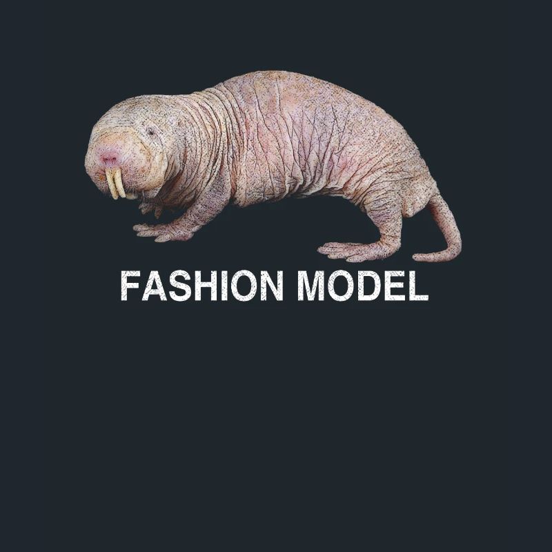 Animal nude mole mole