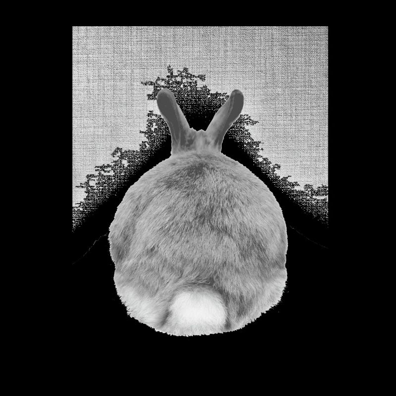 Hase von hinten