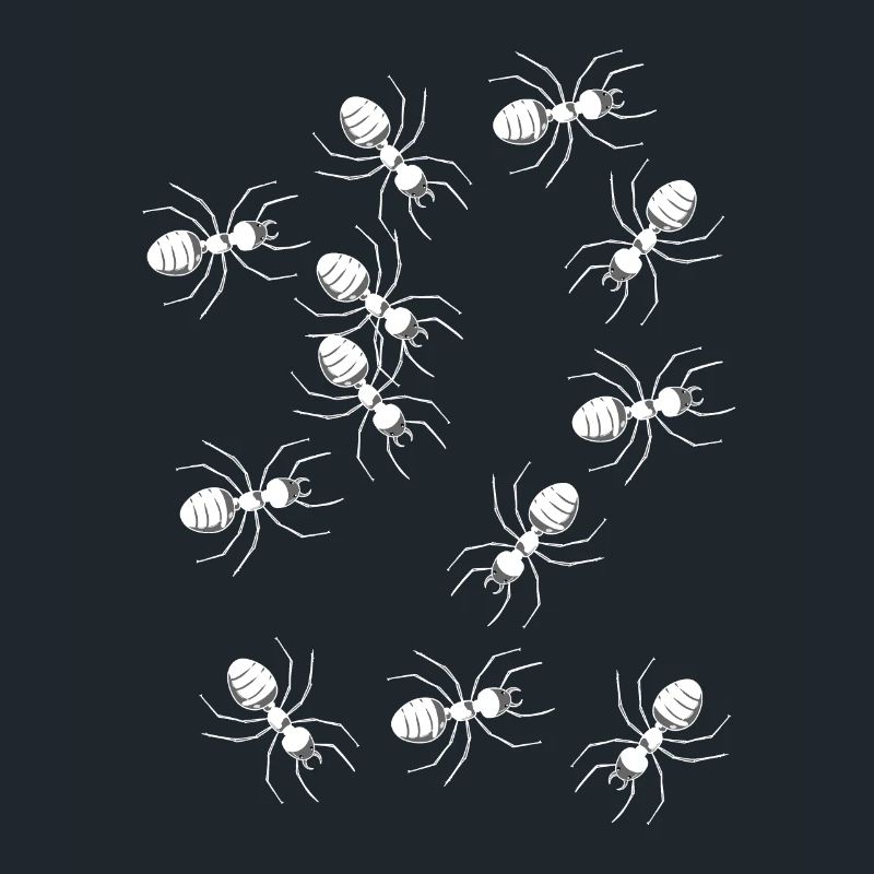 fourmis insecte parasite phobie