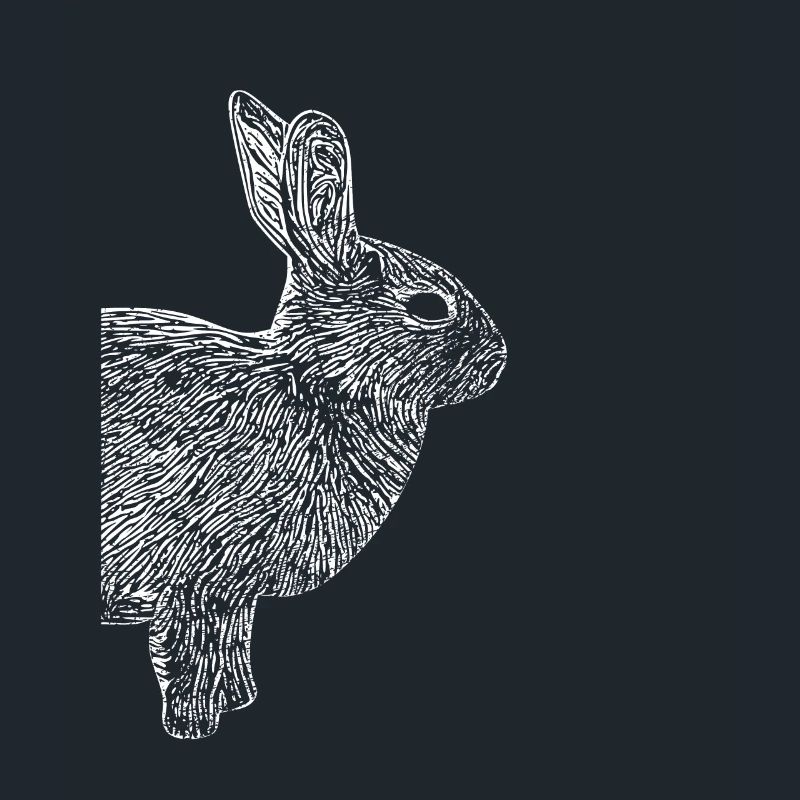 Rabbit Dwarf Rabbit