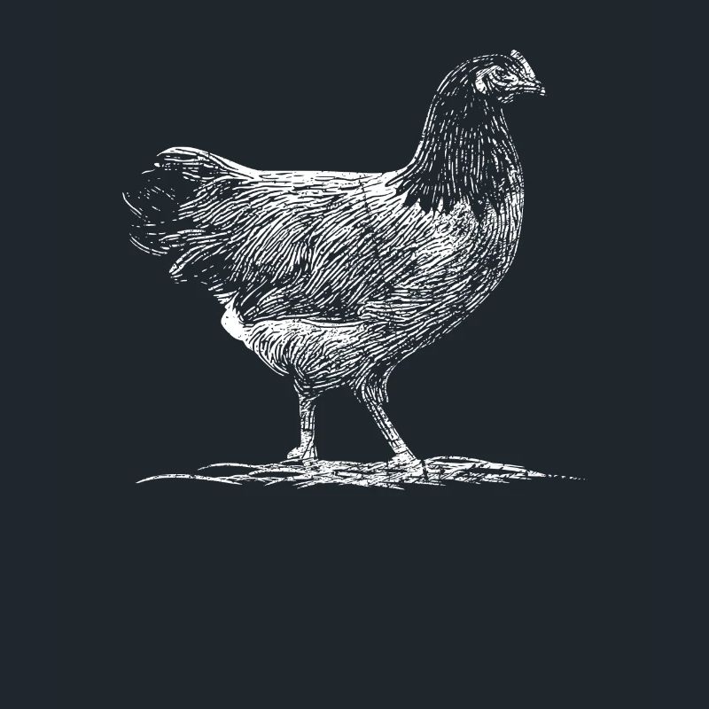 Drawing Vorwerk Chicken Chicken Gift Idea