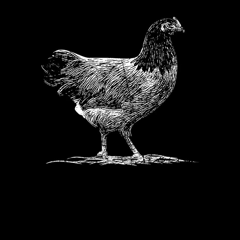 Dessin poulets à prédateurs Idée de cadeau